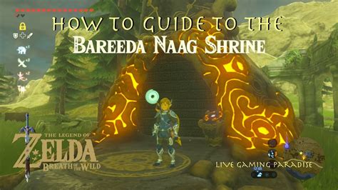 breath of the wild bareeda naag shrine